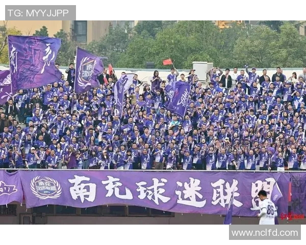 成都排球队灵活性引发热议球迷与专家观点碰撞激烈